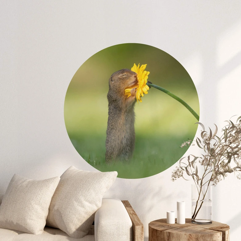 Wandtattoo van Duijn - Erdhörnchen riecht an Blume - Rund 