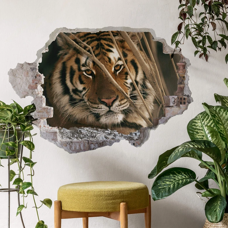 3D Wandtattoo National Geographic Tiger 
