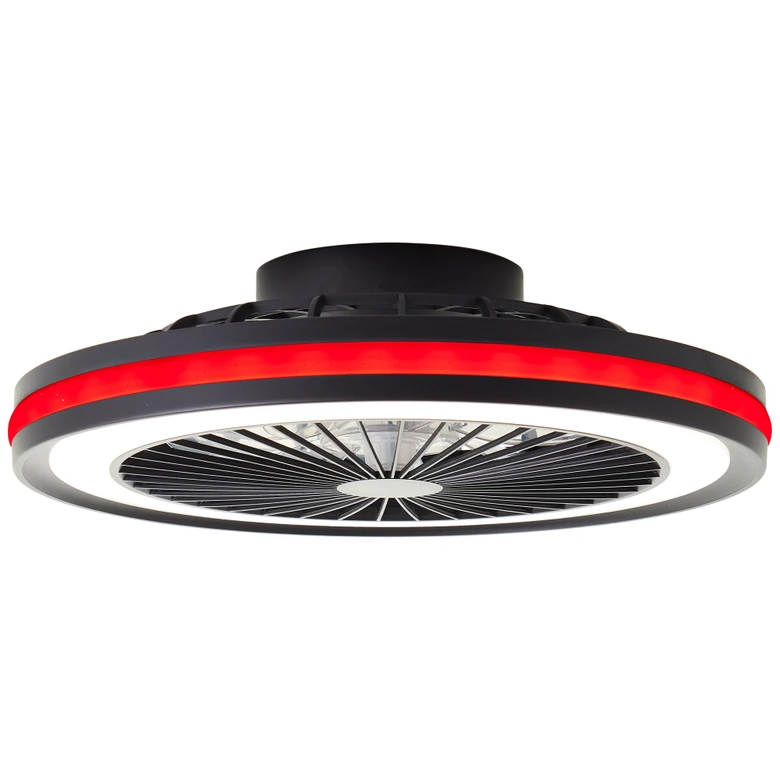 Deckenventilator mit LED-Licht Malea, schwarz, Deckenleuchte 