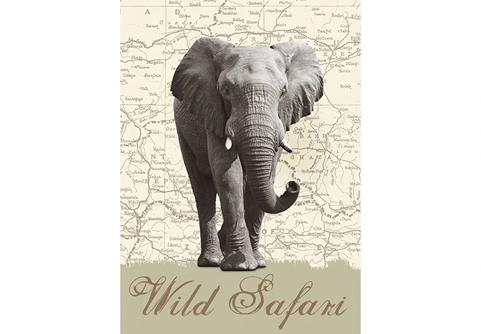 Fototapete Papiertapete Wild Safari 