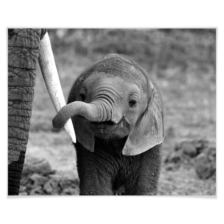 Poster Alicke - Close to Mum 