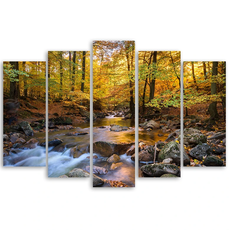 Leinwandbild 5 teilig, Wald Herbst Bach Natur 