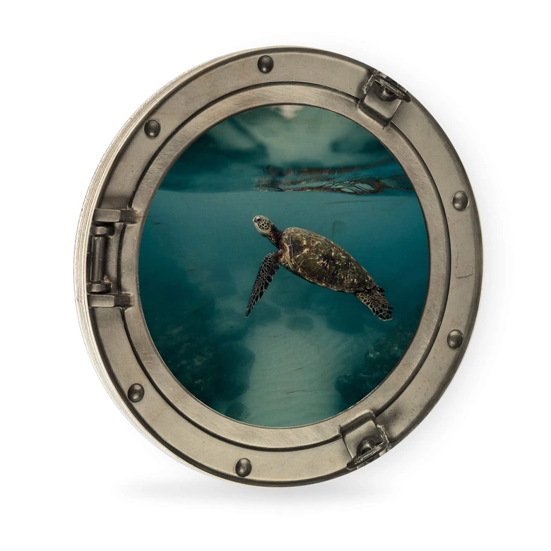Holzbild 3D-Optik Bullauge - Schildkröte seitlich - Rund 