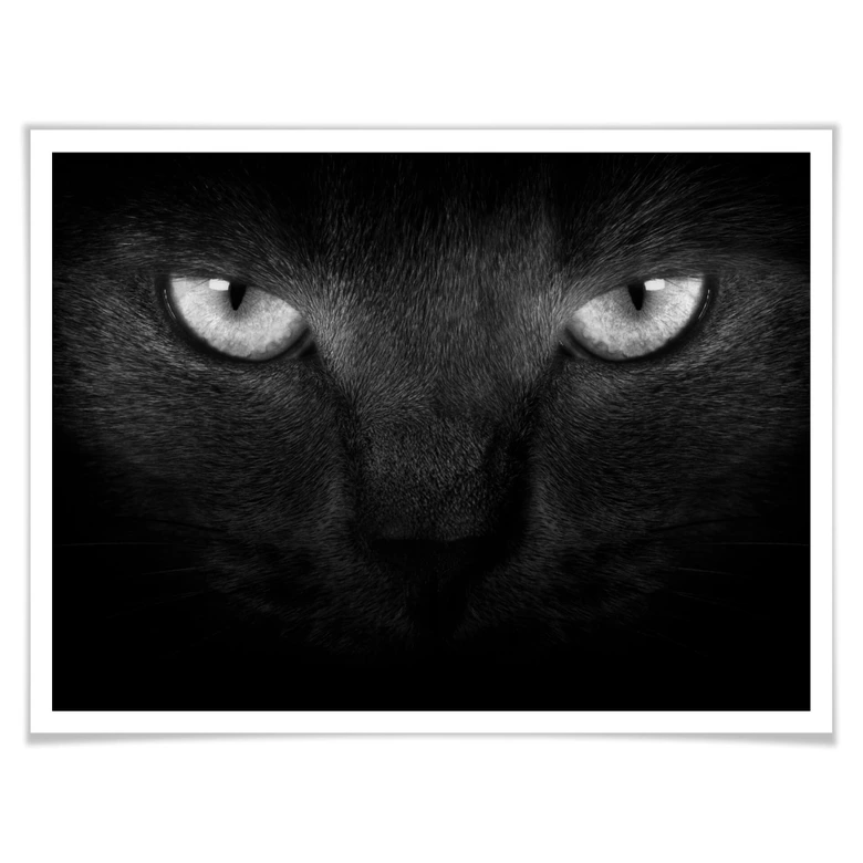 Poster Katzenaugen - schwarz/weiß 