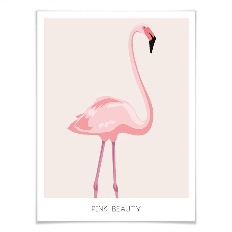 Poster Pink Beauty - Flamingo 