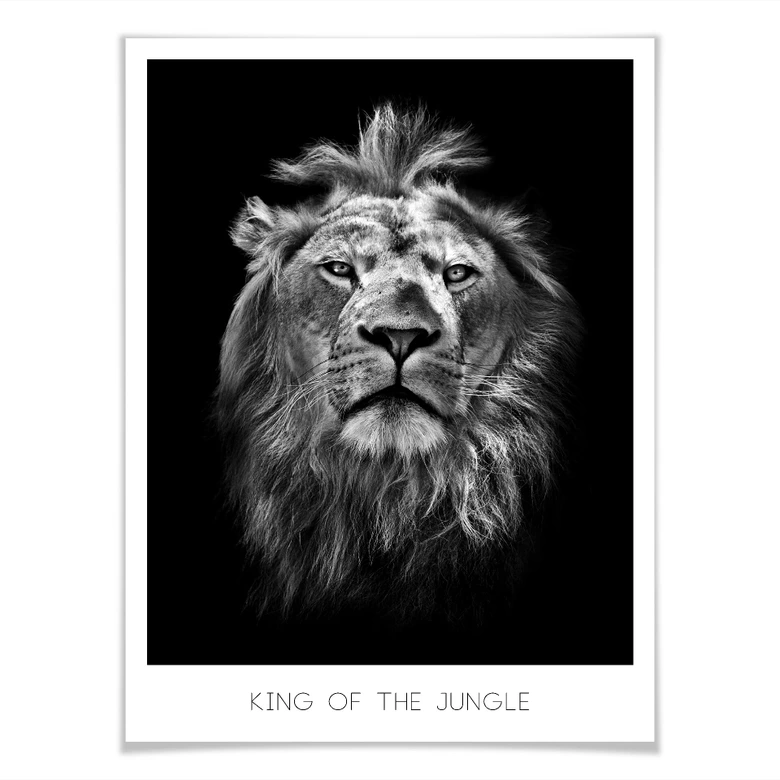 Poster Lion - Roi de la jungle 