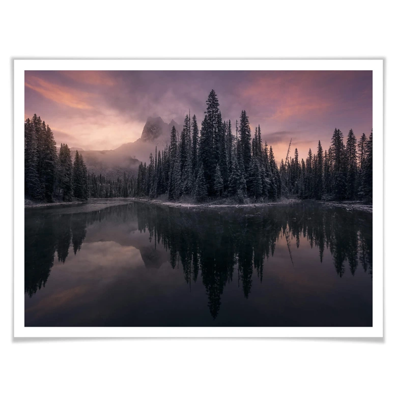 Poster Castan - Fairytale Forest 