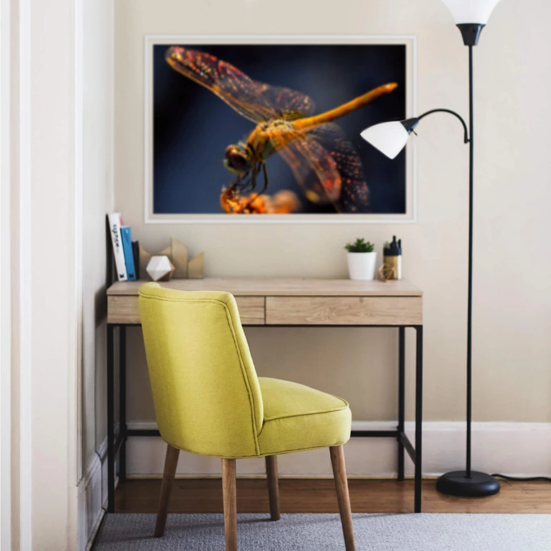 Wallprint Dufour - Libelle auf Tuchfühlung 