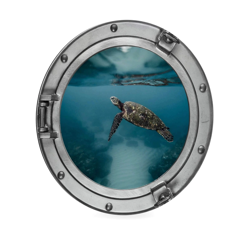 Alu-Dibond 3D-Optik Bullauge - Schildkröte seitlich - Rund 