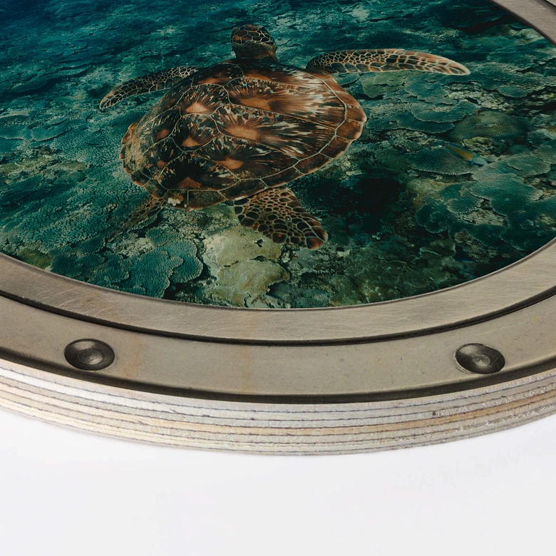 Holzbild 3D Optik - Schildkröte von oben - Rund 