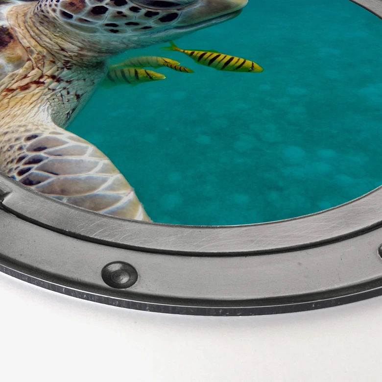 Alu-Dibond 3D Optik - Unterwasserfreunde - Rund 