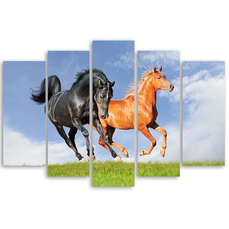 Leinwandbild 5 teilig, Pferde im Galopp 