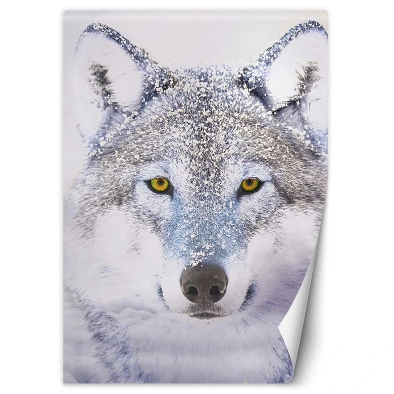 Fototapete, Porträt Wolfes im Winter 