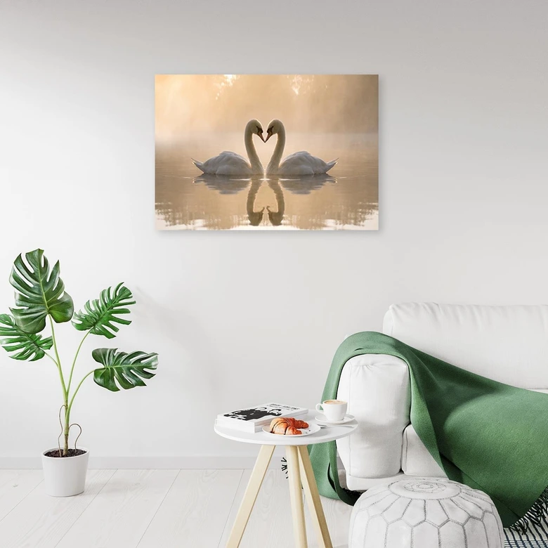 Canvasbillede, Svaner på en dam 