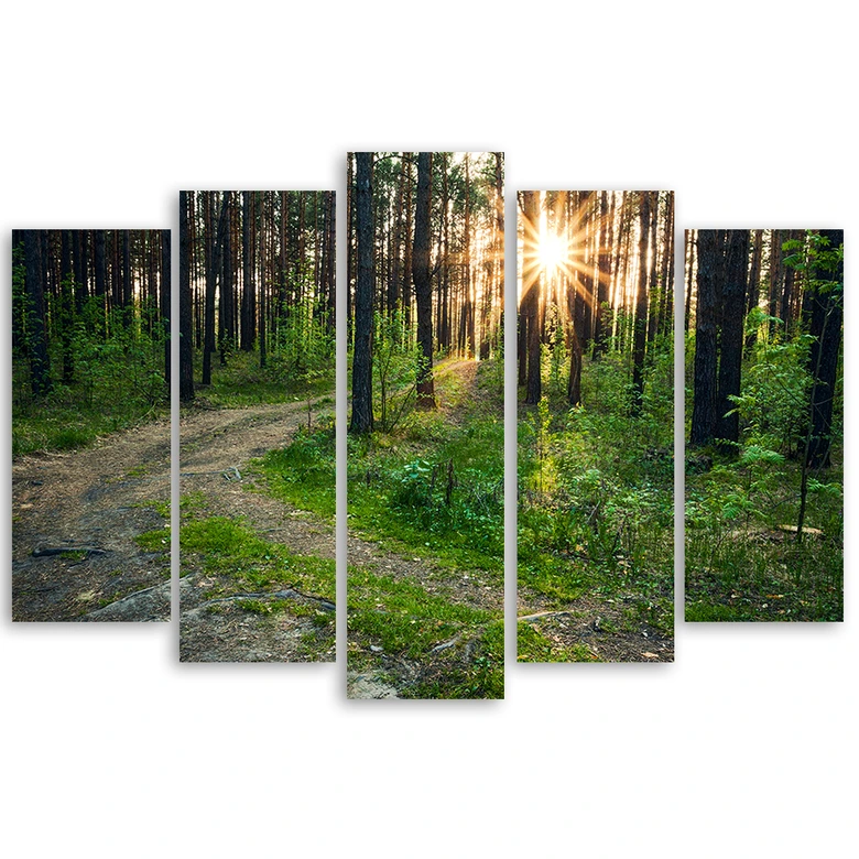 Leinwandbild 5 teilig, Wald Natur Straße Landschaft 