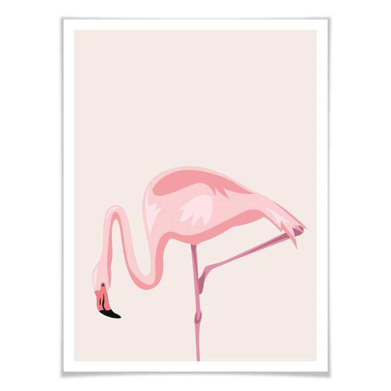 Poster Flamingo 02 