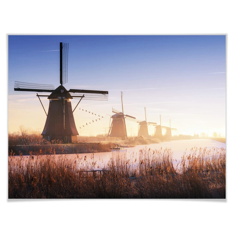 Poster Pablo - Kinderdijk 4 