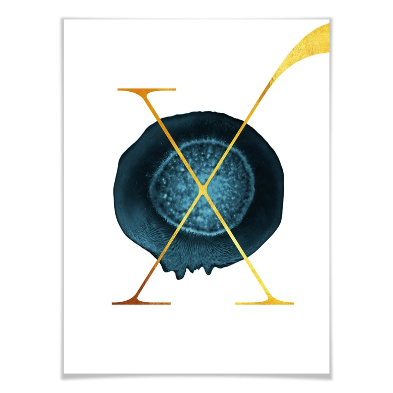 Poster - Das goldene X 