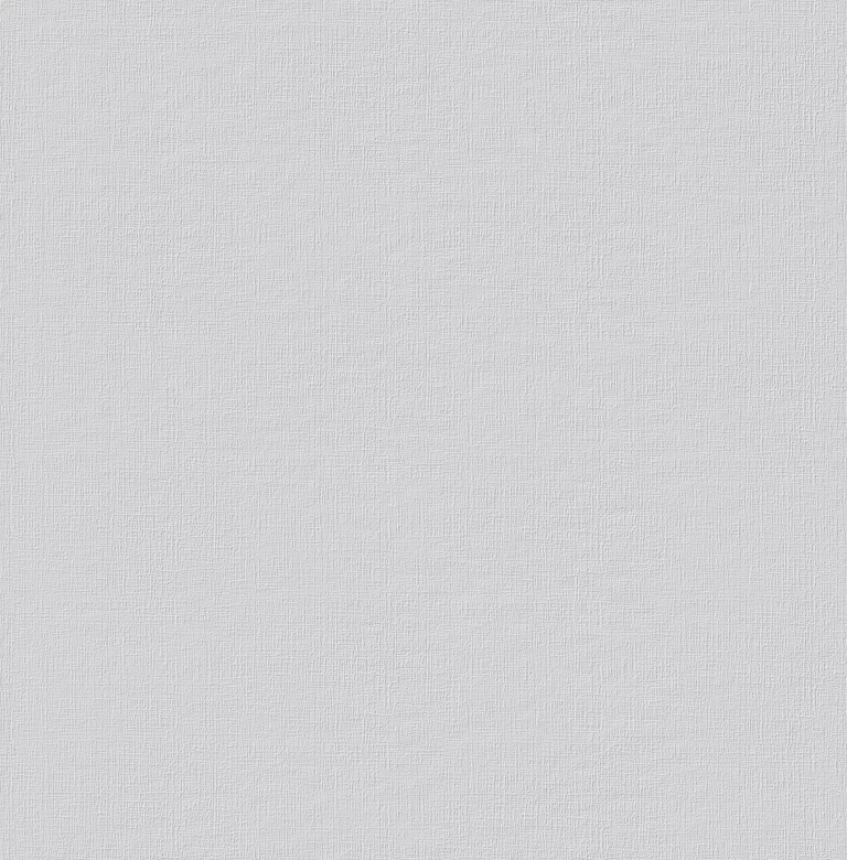 Erfurt Vliesfaser-Tapete Basic 101 