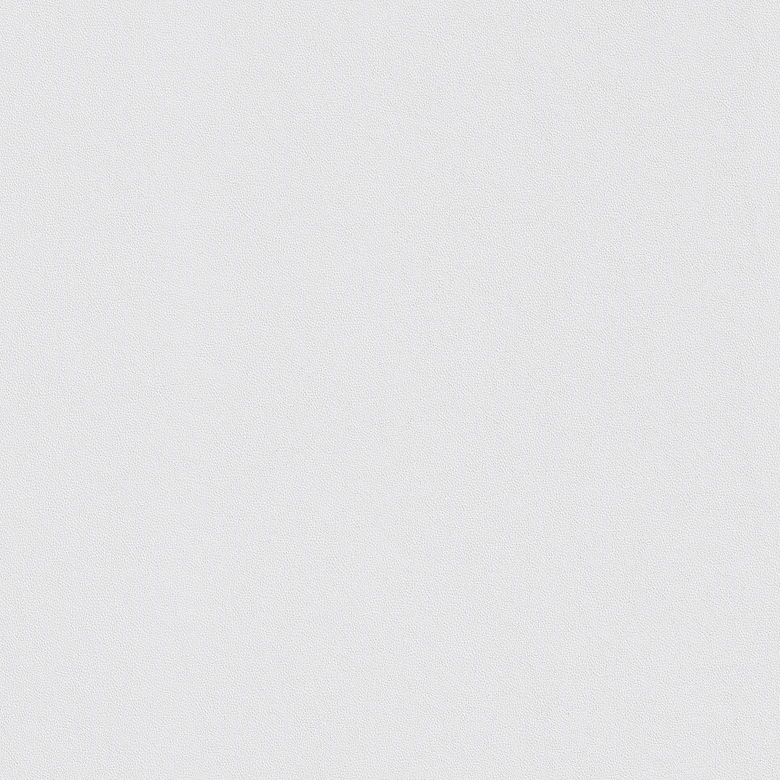 Erfurt Basic 106 Carta da parati in tessuto non tessuto 