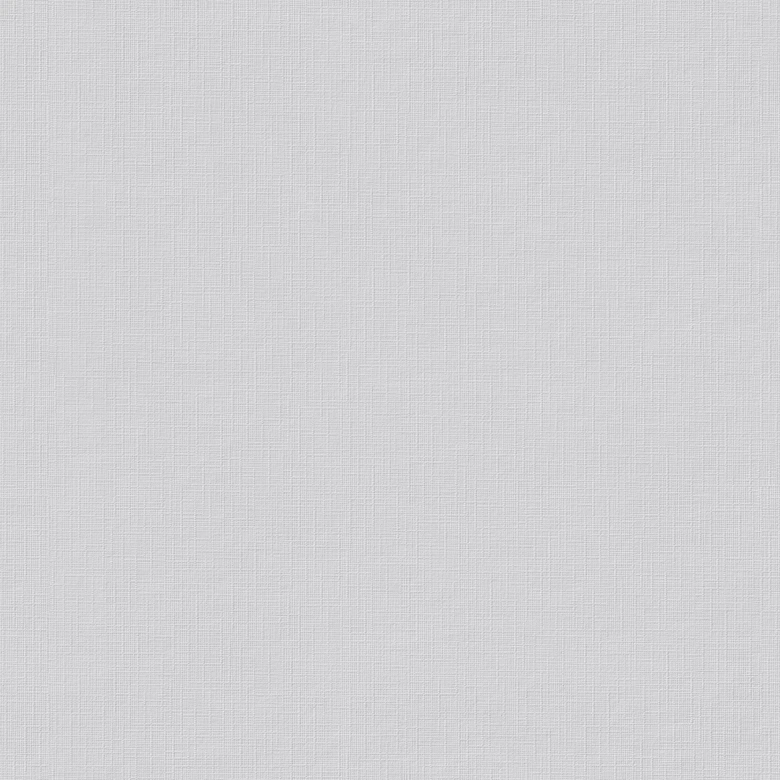 Carta da parati Erfurt in tessuto non tessuto Basic 108 