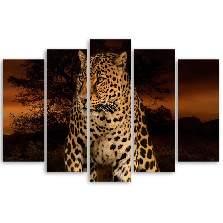 5-delige canvasprint Leopard Panther Cat Safari 