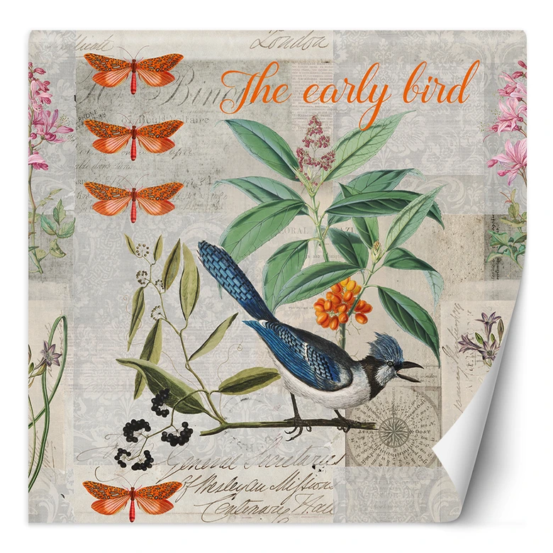 Fototapete, Shabby Chic Stil Blauer Vogel auf grünem Zweig - Andrea Haase 