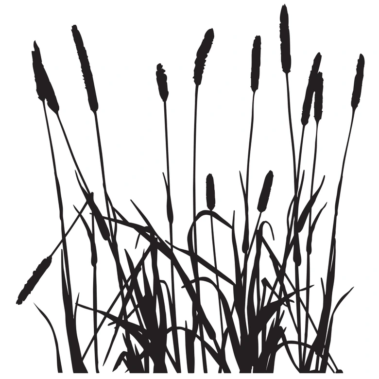 Reed 2 Wall sticker 