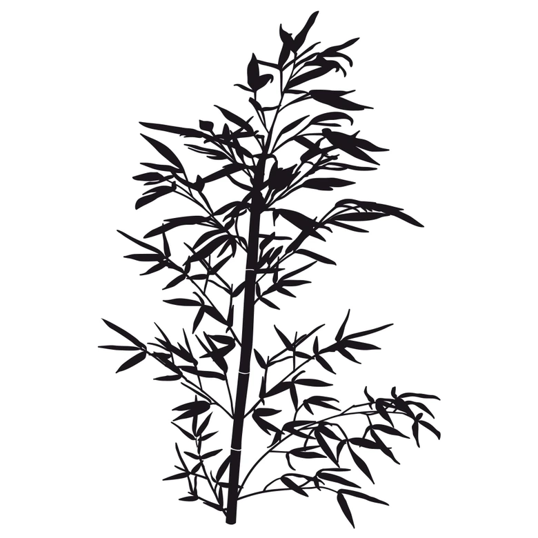 Wandtattoo Wilder Bambus 