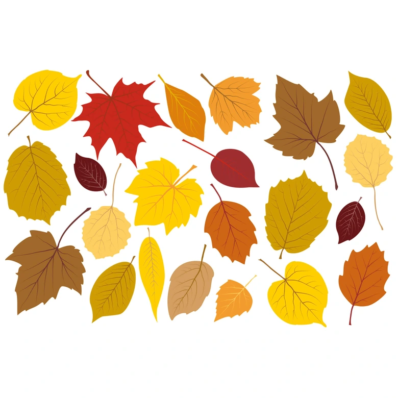 Wandtattoo Blätter Set Herbst 1 