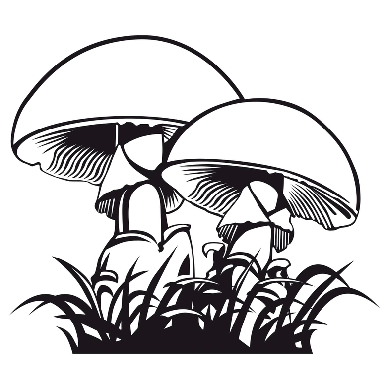 Wandtattoo Champignons 