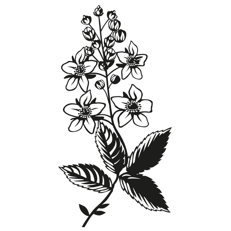 Wandtattoo Blütenzweig 1 