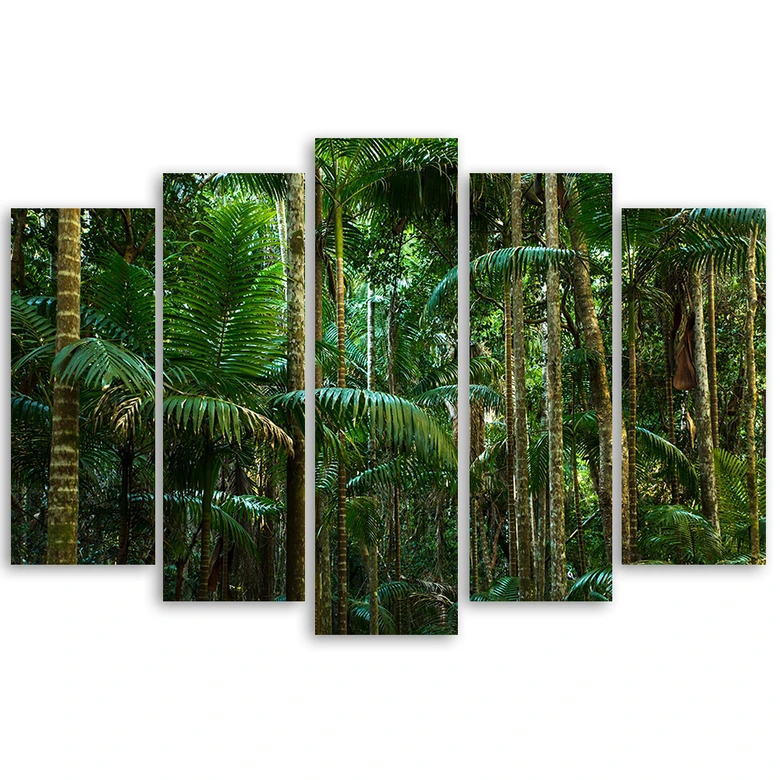 Leinwandbild 5 teilig, Regenwald Natur 