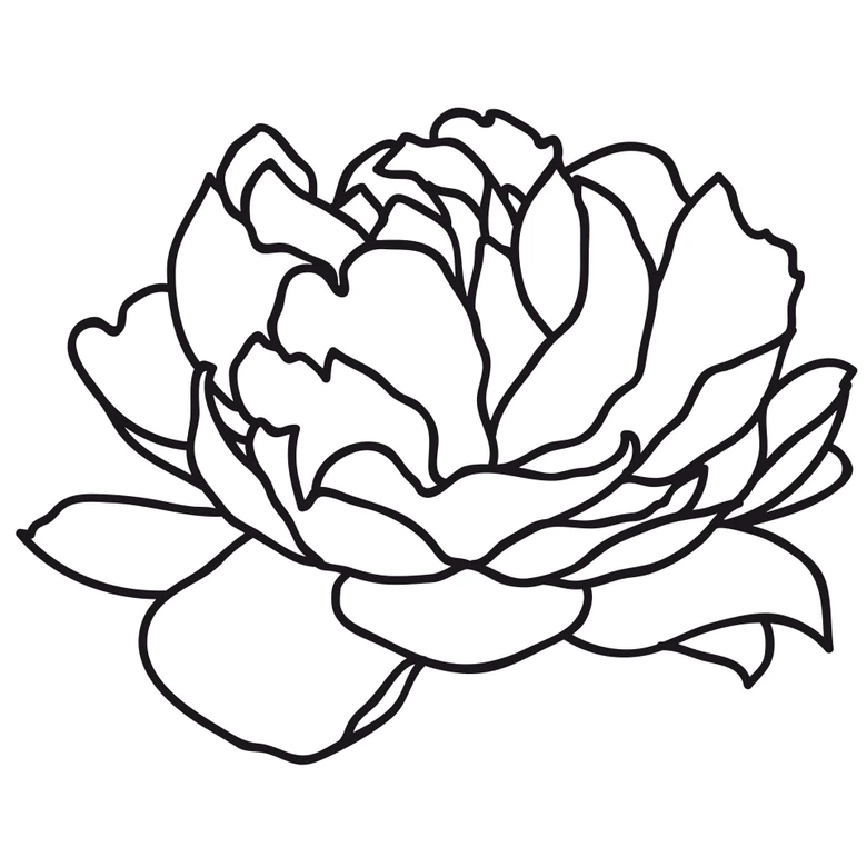 Wandtattoo Peony Blossom 02 