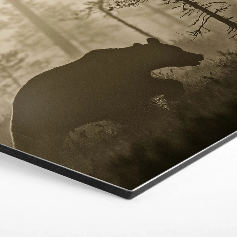 Hexagon - Alu-Dibond - Ove Linde - Morning Fog 