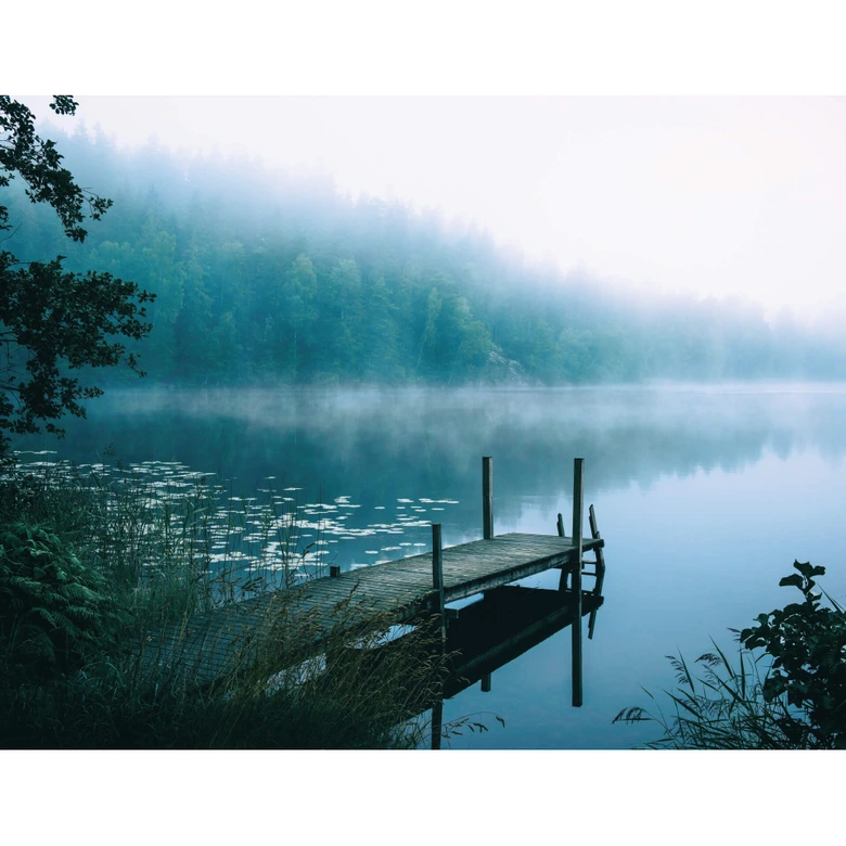 Fototapete - Lindsten - Moody Morning 