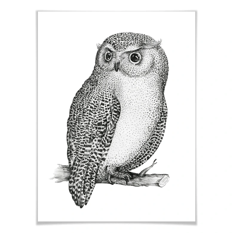 Póster Kvilis - Búho vigilante 