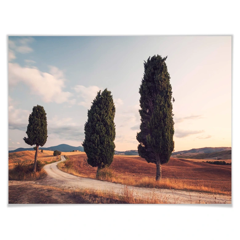Plakat Colombo - Trzy cyprysy na drodze 