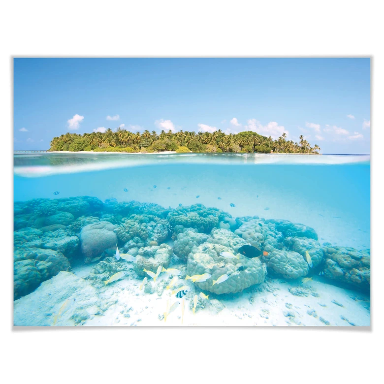 Poster Colombo - Unterwasserwelt der Malediven 
