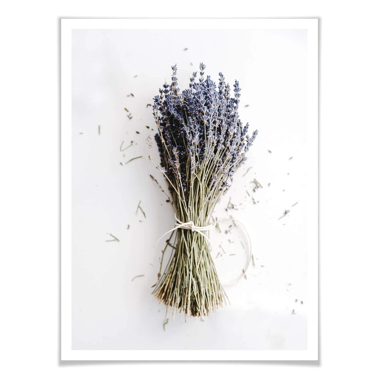 Poster Das Bündel Lavendel 