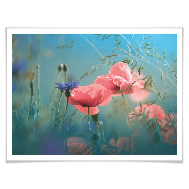 Poster Delgado - Wildblumen Aquamarin 