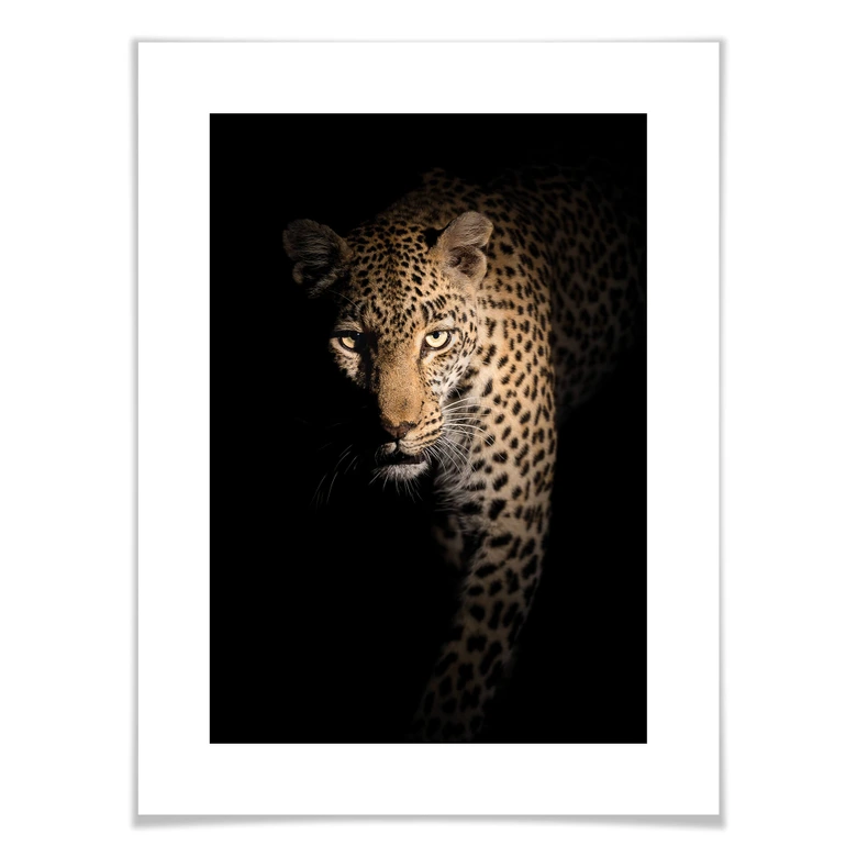 Poster Guijt - Der Leopard 