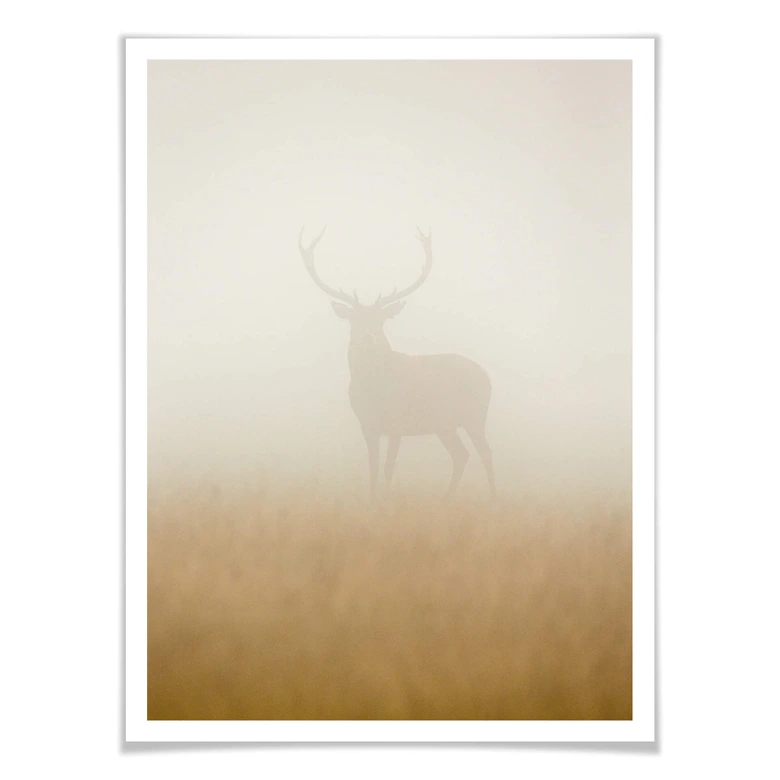 Poster Harling - Hirsch im Nebel 
