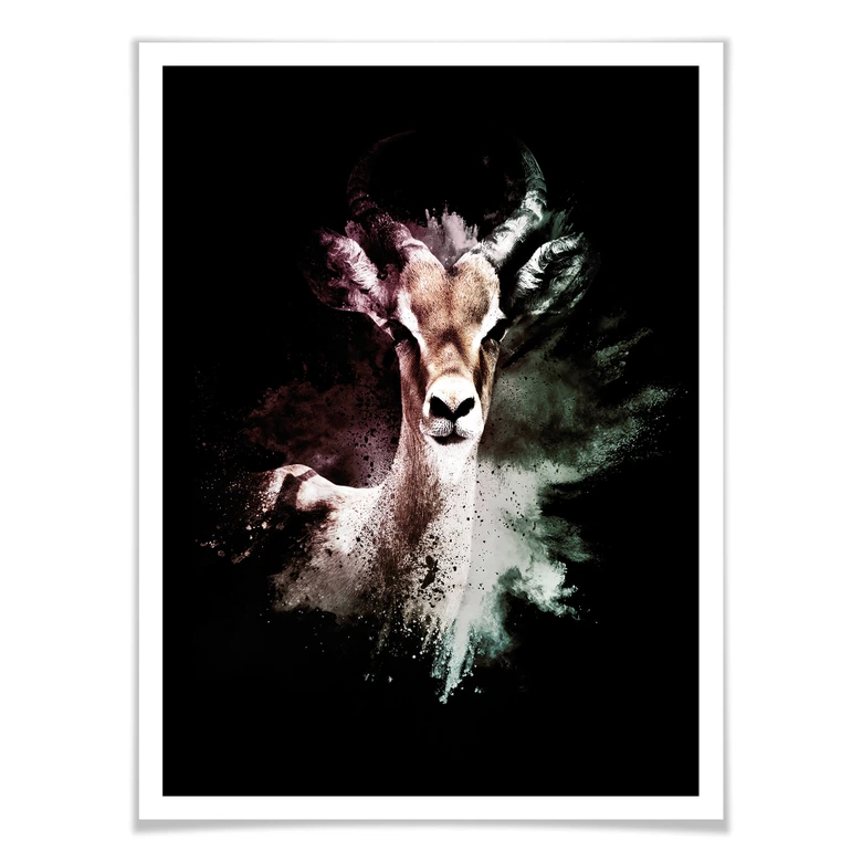 Poster Hugonnard - Wild Explosion: Antilope 