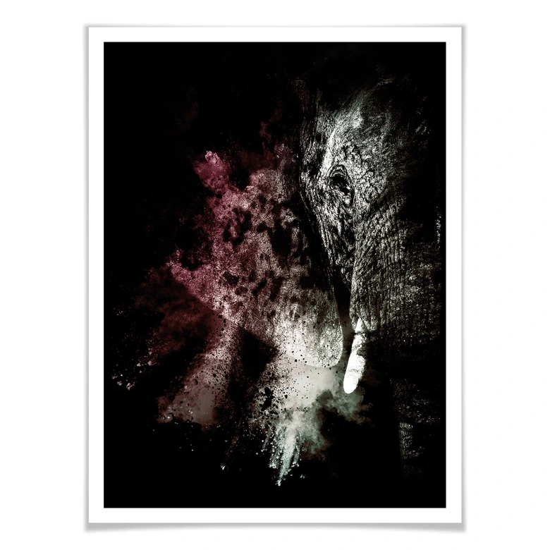 Poster Hugonnard - Wild Explosion: Elefant 02 