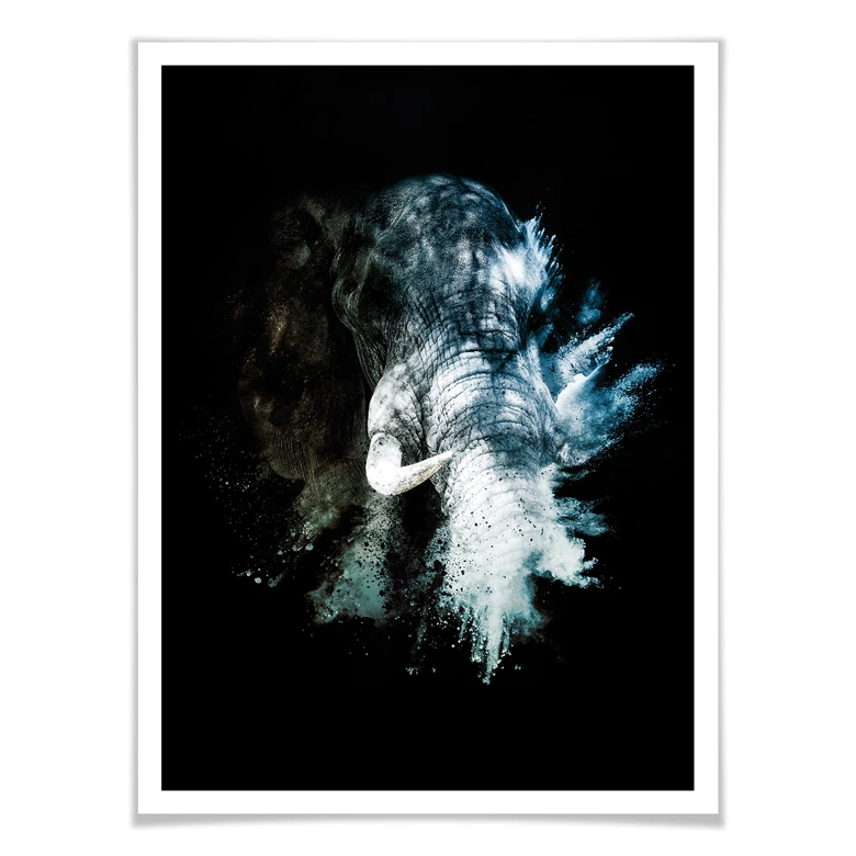Póster Hugonnard - Explosión salvaje: Elefante 