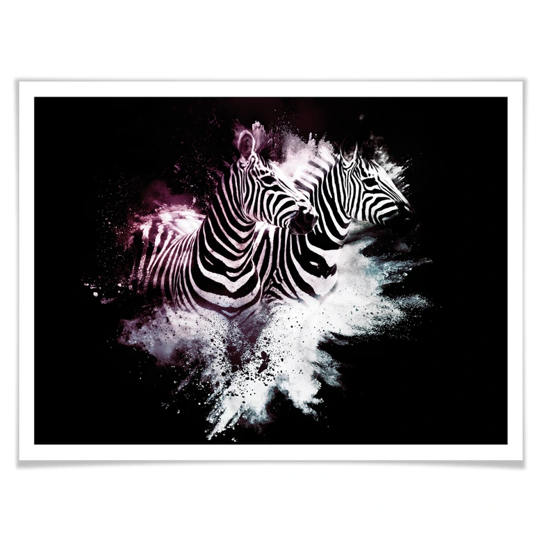 Poster Hugonnard - Wild Explosion: Zwei Zebras 