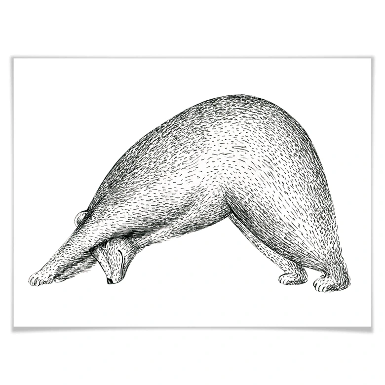 Poster Kvilis - Ours Yoga 01 