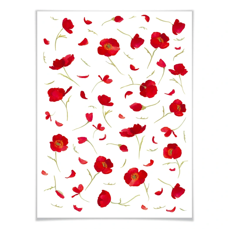 Poster Leffler - Mohnblüten 
