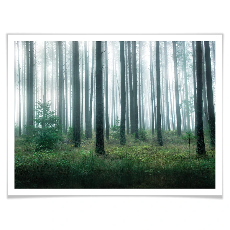 Poster Lindsten - Im Wald 